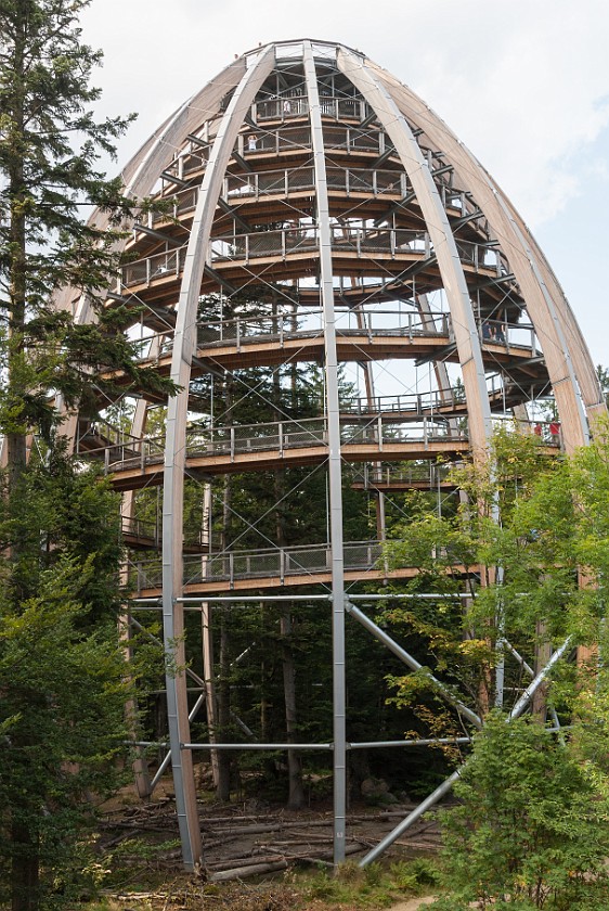 Tree Top Walk at the National Park Center Lusen. Dome. near Neuschönau. .