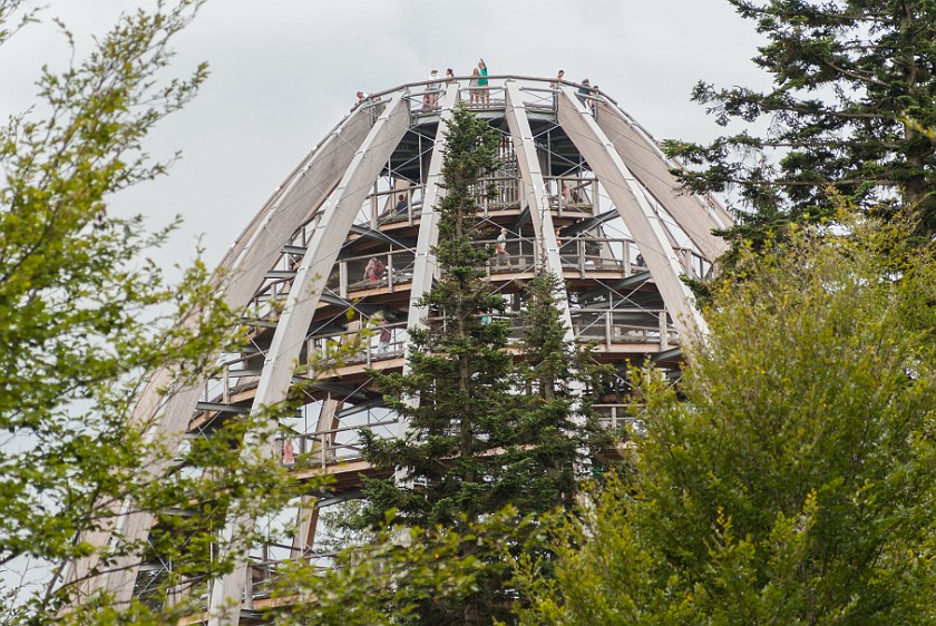 Tree Top Walk at the National Park Center Lusen. Dome top. near Neuschönau. .