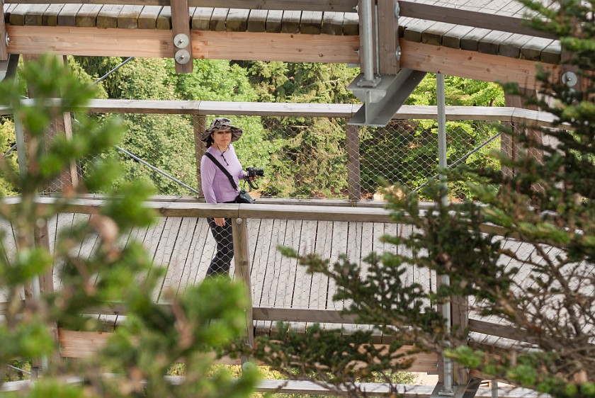Tree Top Walk at the National Park Center Lusen. Inside the dome. near Neuschönau. .