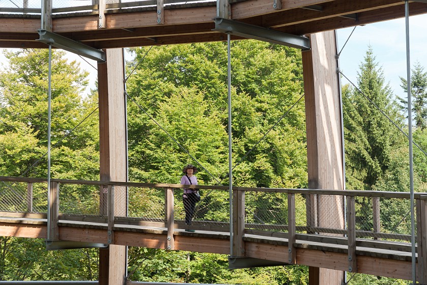 Tree Top Walk at the National Park Center Lusen. Inside the dome. near Neuschönau. .
