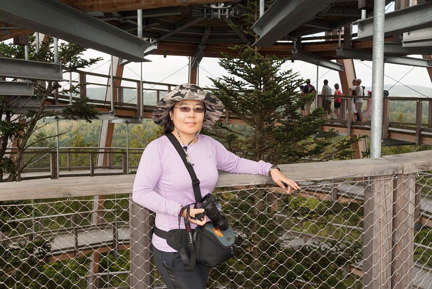 Tree Top Walk at the National Park Center Lusen. Near the top of the dome. near Neuschönau. .