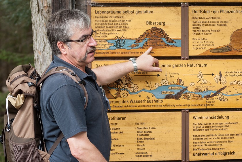 Wildlife Enclosures at the National Park Center Lusen. Guide. near Neuschönau. .