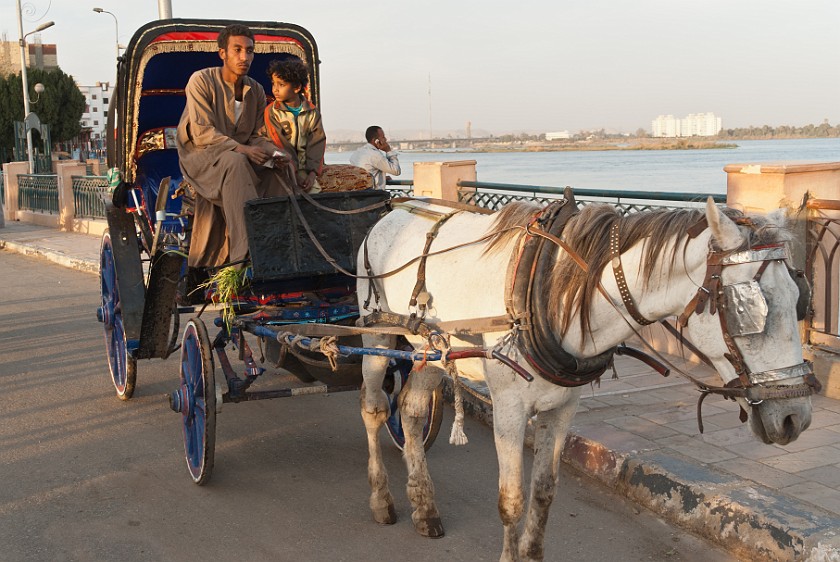 Edfu Temple of Horus. Horse-drawn carriage. Edfu. .