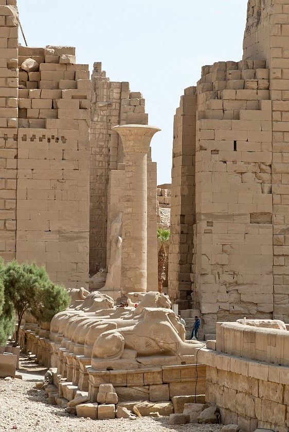 Karnak Temple of Amun. Avenue of ram-headed sphinxes, first pylon and column. Karnak. .