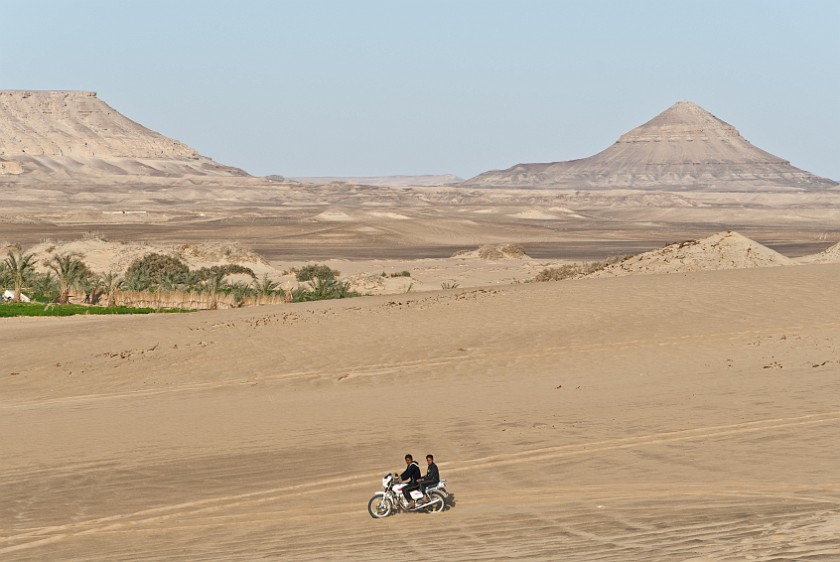 Bahariya Oasis. Desert. Bahariya Oasis. .