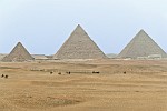 EGY008