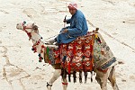 EGY021