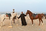 EGY037