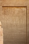 EGY113
