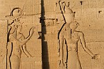 EGY131