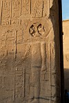 EGY135