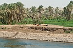 EGY148