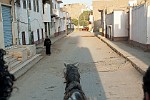 EGY166