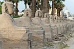 EGY201