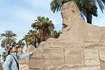 EGY202