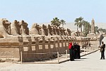 EGY220