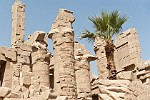 EGY223