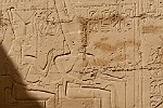 EGY228
