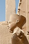 EGY229