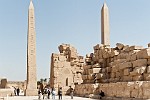 EGY230