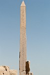EGY231