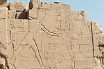 EGY232