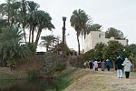 EGY236