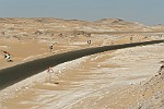 EGY264