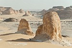 EGY268