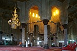 EGY294