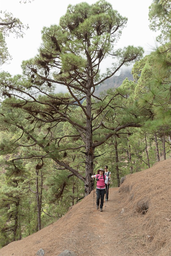 Caldera de Taburiente. Hiking. Caldera de Taburiente. .