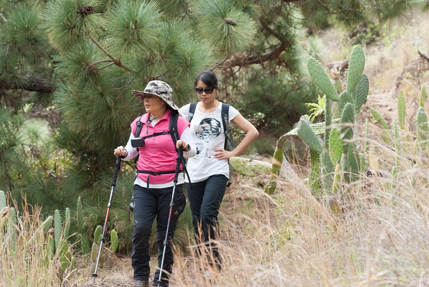 Caldera de Taburiente. Hiking. Caldera de Taburiente. .