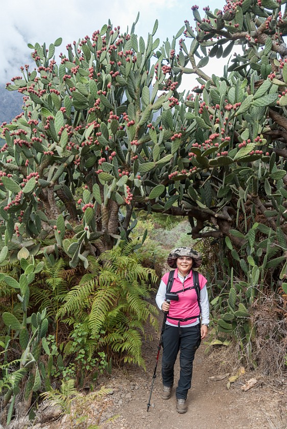 Caldera de Taburiente. Hiking. Caldera de Taburiente. .