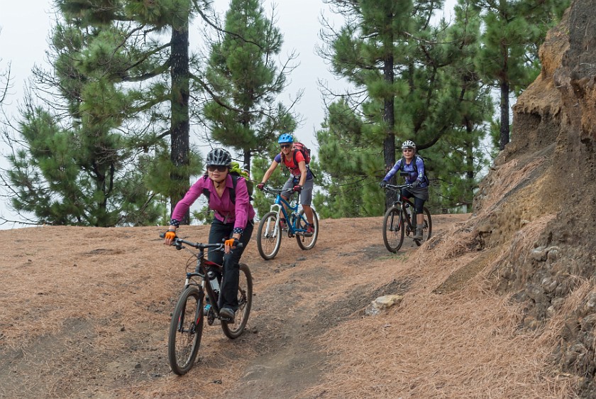 Ruta de los Volcanes. Mountain biking. near Puerto de Naos. .