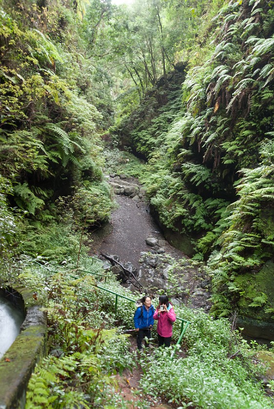 Los Tiles. Hiking. Los Tiles. .