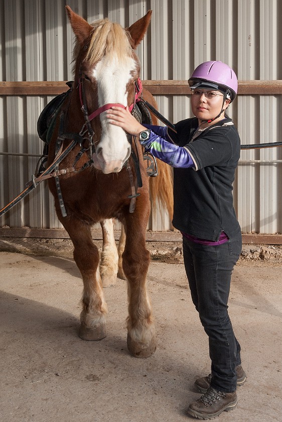 Horseback Riding. Portrait with horse. Caldera del Rey. .