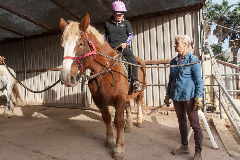 Horseback Riding. Mounted. Caldera del Rey. .