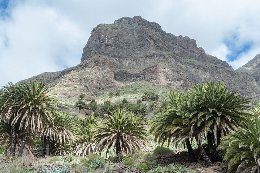Barranco de Masca. View on the mountain ridge. Masca. .