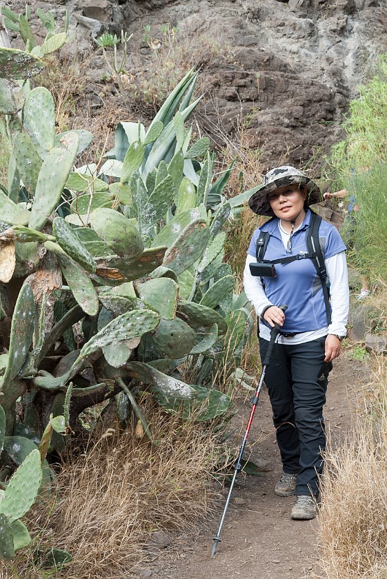 Barranco de Masca. Hiking. Masca. .