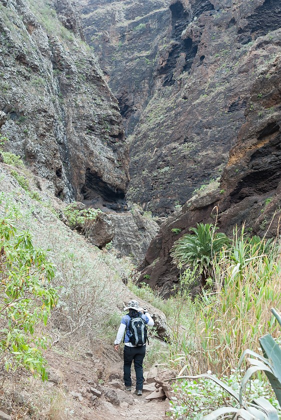 Barranco de Masca. Hiking. Masca. .