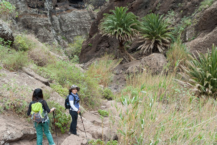 Barranco de Masca. Hiking. Masca. .