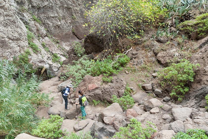 Barranco de Masca. Hiking. Masca. .