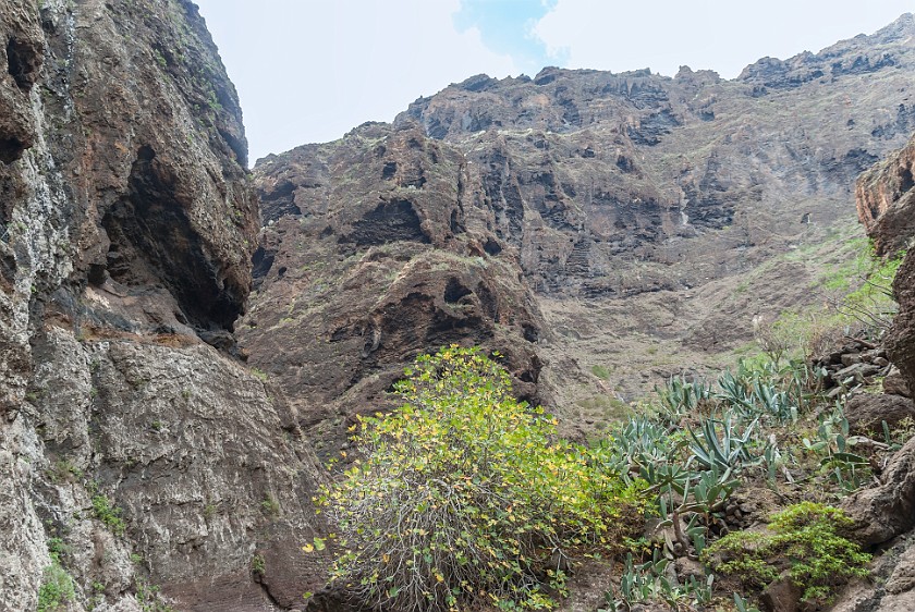 Barranco de Masca. View up to the mountain ridge. Masca. .