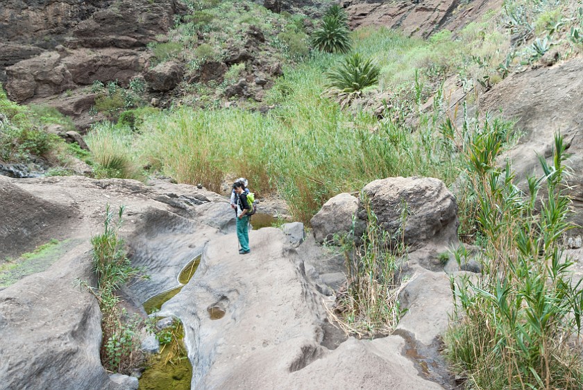 Barranco de Masca. Hiking. Masca. .