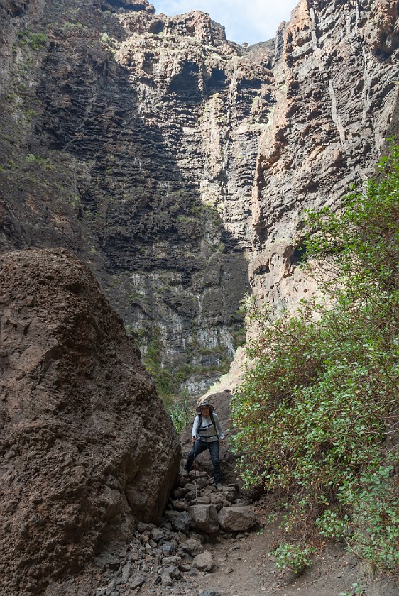Barranco de Masca. Hiking. Masca. .
