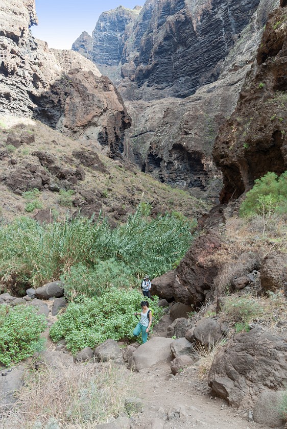 Barranco de Masca. Hiking. Masca. .