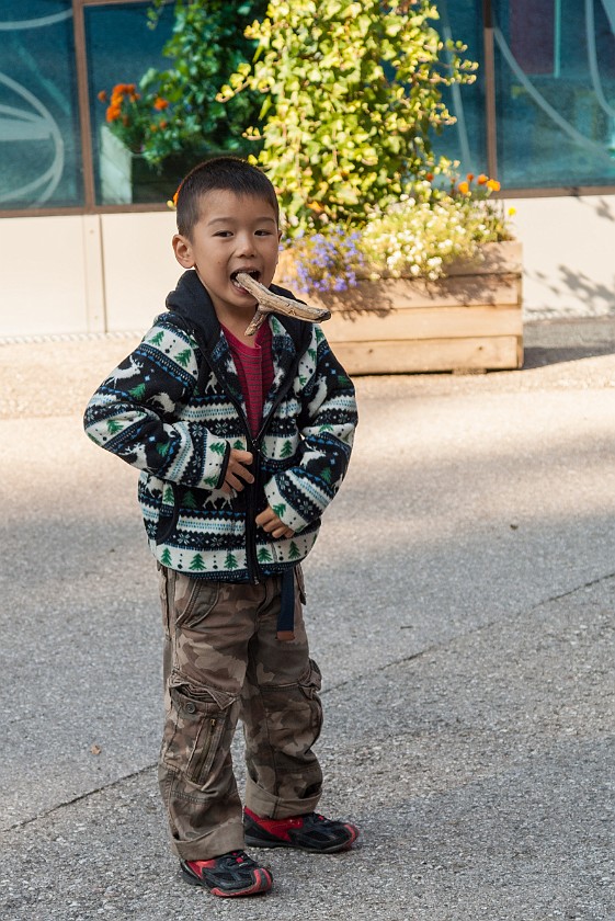 Fun with Children. Portrait of friend's son. Obertraun. .