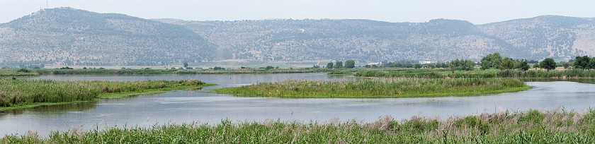Hula Nature Reserve. Panoramic view on Lake Agamon Hula. Hula Valley. .