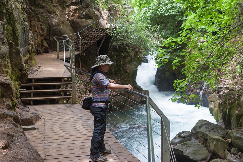 Banias Nature Reserve. Suspended trail. near Kibbutz Snir. .