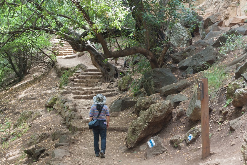 Banias Nature Reserve. Trail. near Kibbutz Snir. .